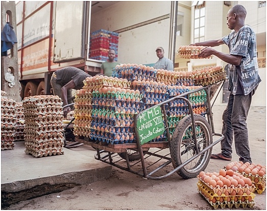 Tchad : hausse des prix des œufs après la fermeture des frontières avec le Cameroun