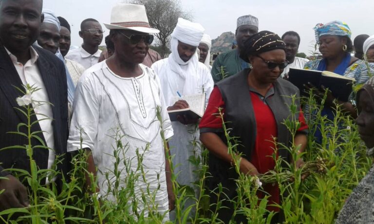 Tchad : la campagne agricole 2019-2020 dans la partie sahélienne s’annonce prometteuse
