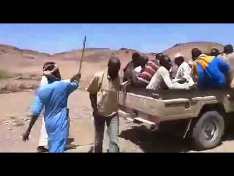 Tchad : l’armée libère un millier  de victimes d’esclavagisme dans le Tibesti des mains de leurs bourreaux