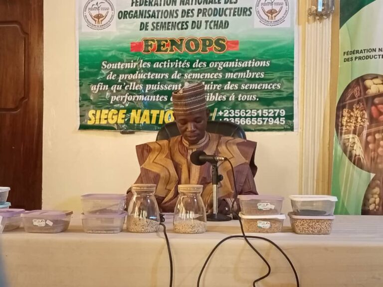 Tchad : présentation des semences et annonce de leur vente par la Fenops