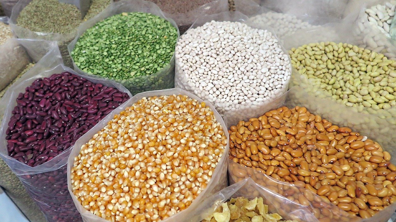 Agriculture : “Au Tchad, les semences améliorées sont moins connues”