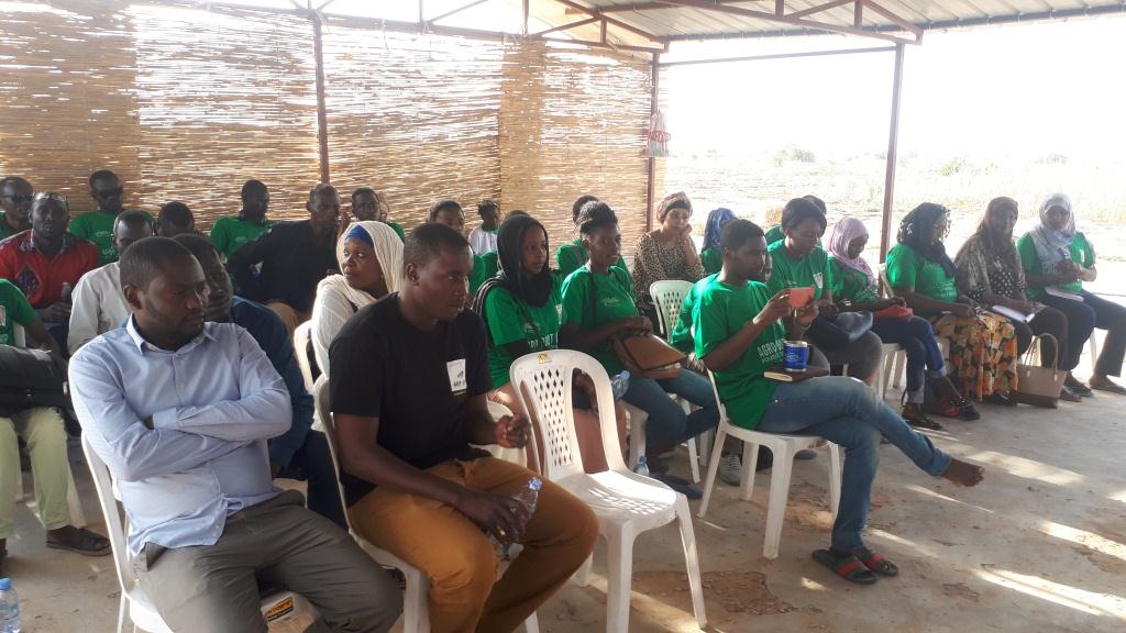 Tchad : Green hackathon, une compétition pour apporter des solutions durables