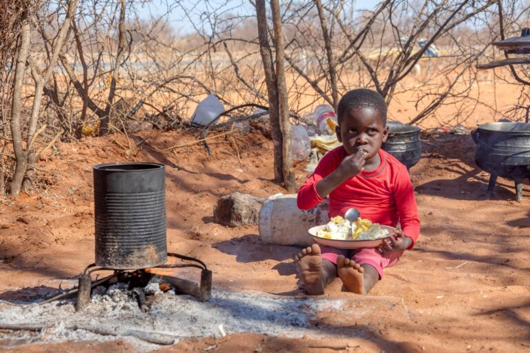 Tchad : 5,9 millions de personnes n’ont pas régulièrement accès à une alimentation saine