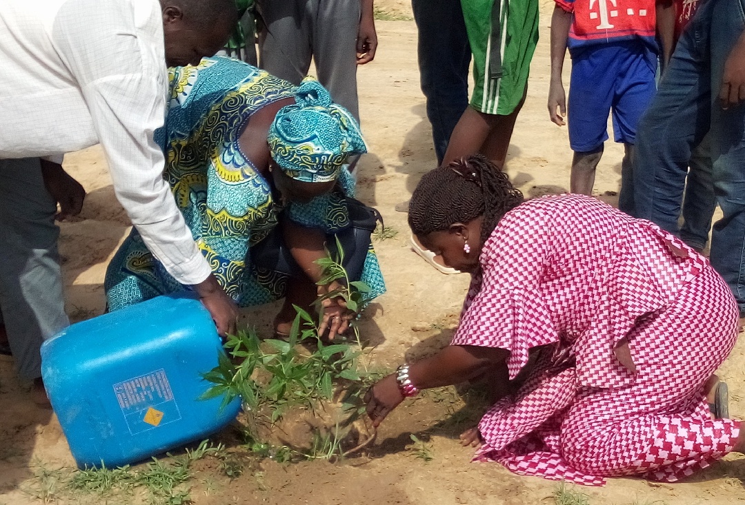 Tchad : une semaine verte pour reboiser le cimetière de Toukra