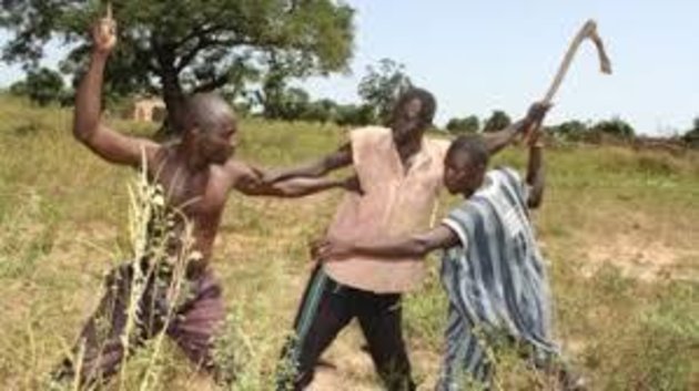 Tchad : 6 morts et 15 blessés dans un conflit entre agriculteurs et éleveurs
