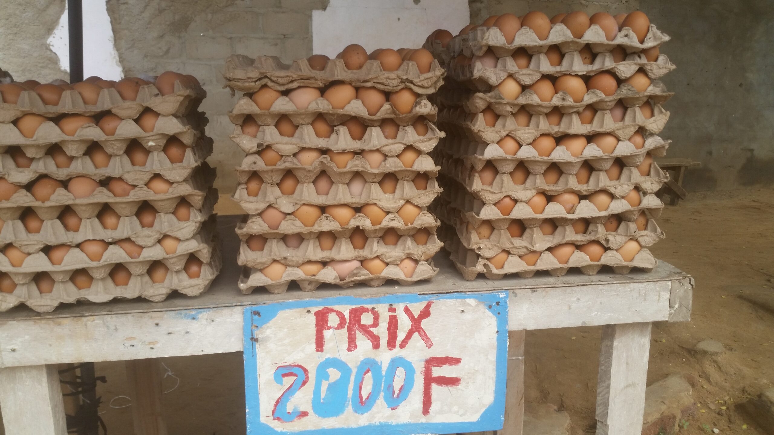 Société : pourquoi les Tchadiens préfèrent consommer des œufs produits au Cameroun ?