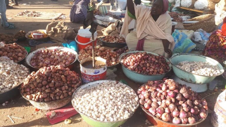 Société : L’oignon devient de plus en plus rare et cher à N’Djamena