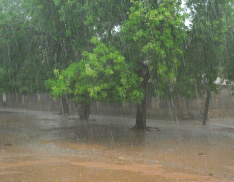 Tchad : “Nous aurons encore de grosses pluies”