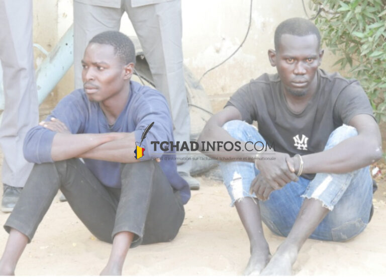 Tchad : les présumés assassins de Mopi Célestine  seront jugés immédiatement