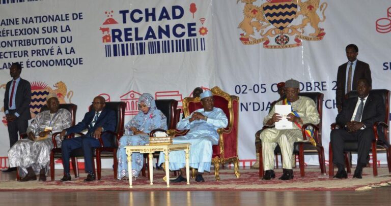 Tchad : Le secteur privé explore la piste de la relance économique
