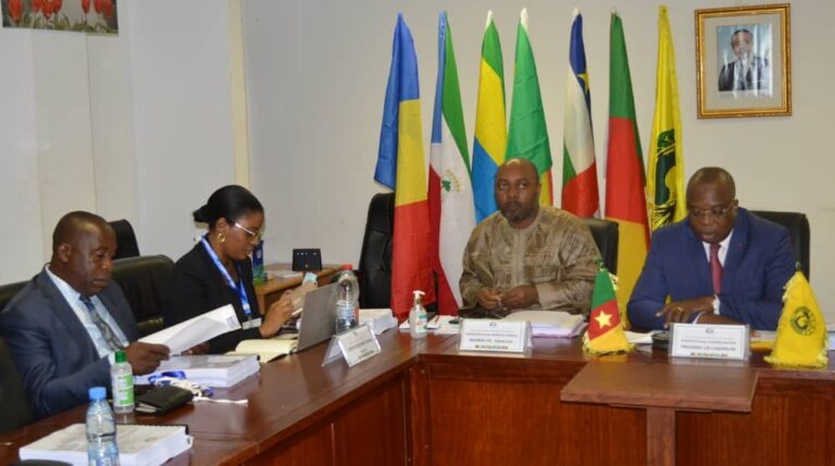 Tchad : le comité inter-Etat de l’union Economique de l’Afrique Centrale est à sa 35ème session ordinaire