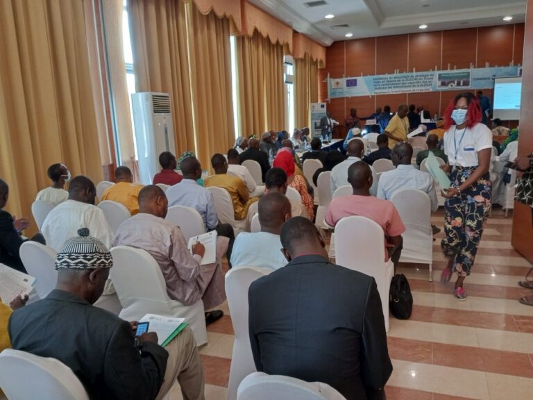 Le Tchad soumet sa stratégie nationale de mise en œuvre de la ZLECAf pour validation