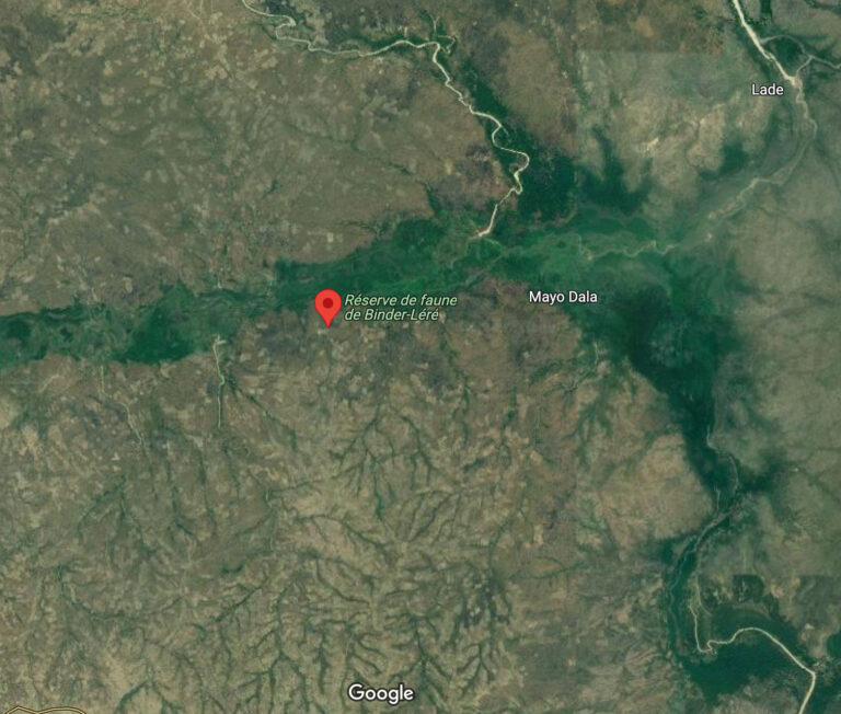 Mayo-Kebbi Ouest : inquiétude après la création d’un parc national au sein de la réserve de faune Binder-Léré 