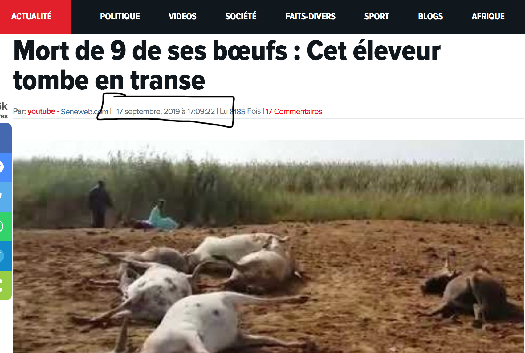 Nous avons vérifié pour vous : la vidéo montrant un éleveur en transe n’a pas été tournée au Tchad   