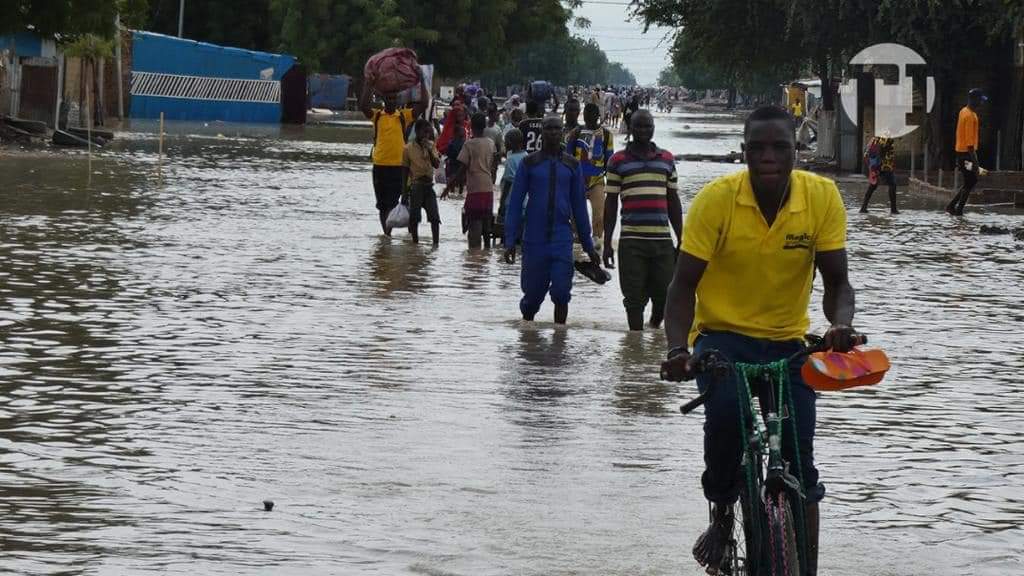 فيضانات العاصمة: على البلدية أن تقوم بتدريب المواطنين على السباحة، كـ حل أمثل ومؤقت