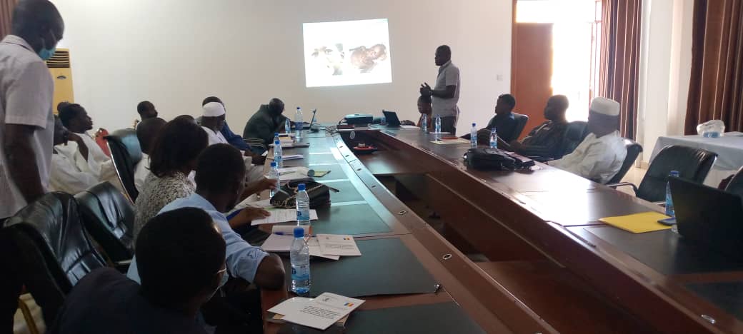Tchad : la lutte antitabac mobilise