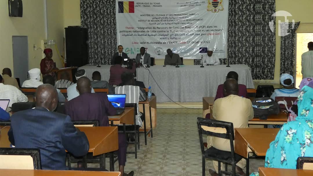 Tchad : une journée scientifique pour examiner la lutte contre la trypanosomose animale