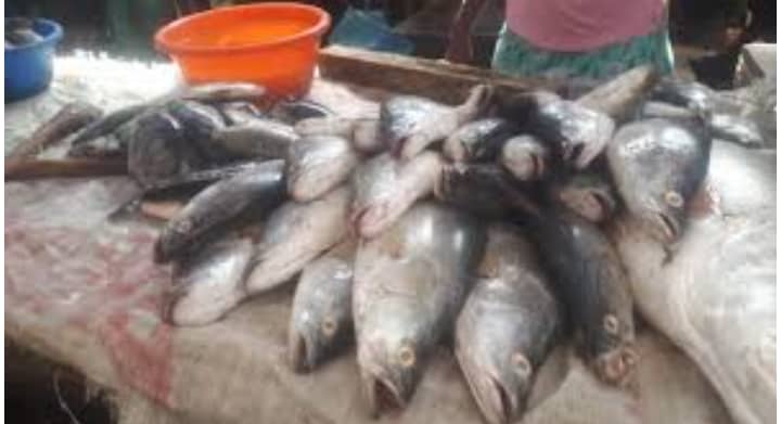 Société : le poisson se fait rare à N’Djamena