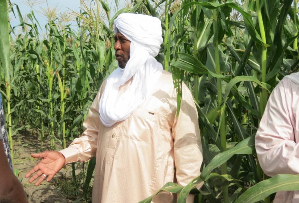 PCA du Groupe Wadi Koundi :  Saleh Abakar, le patron de l’agroalimentaire