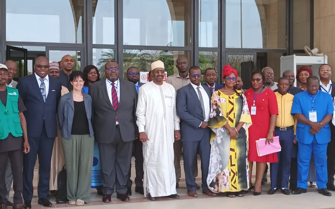 Santé :  le Tchad accueille un atelier de la CEEAC sur les maladies endémiques