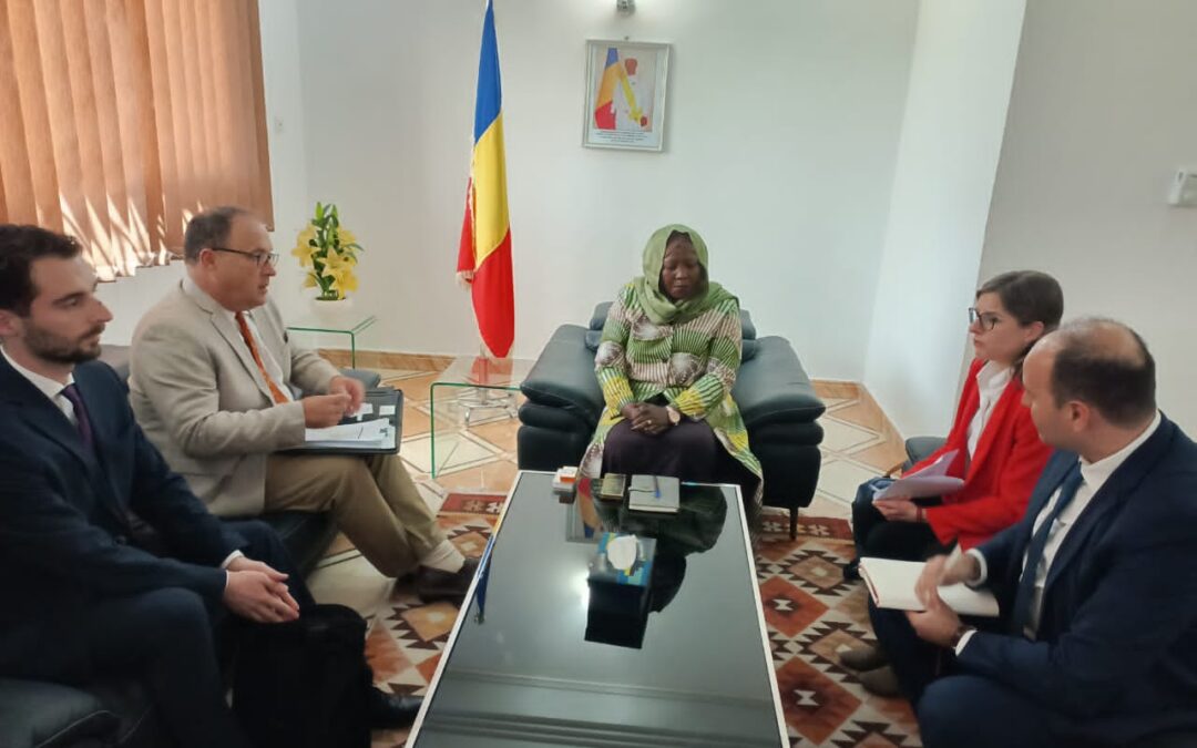 Tchad : une délégation de la PROPARCO reçue par la ministre déléguée chargée de l’indépendance énergétique
