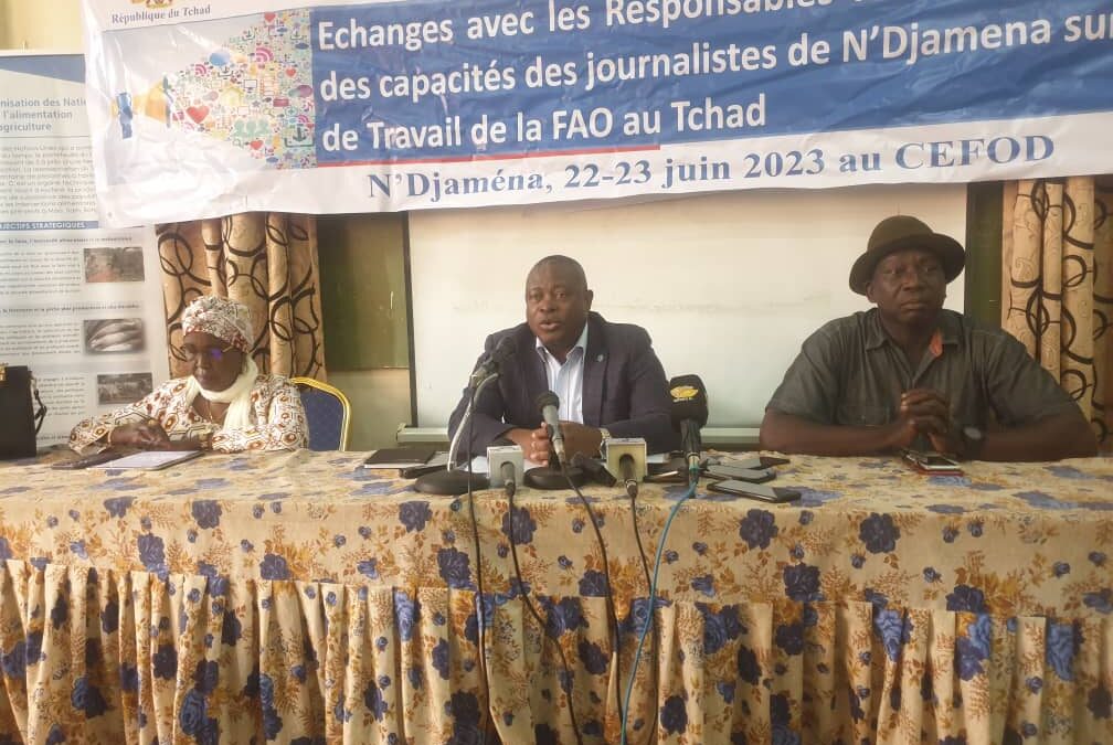 Société : fin de la formation des journalistes organisée par la FAO
