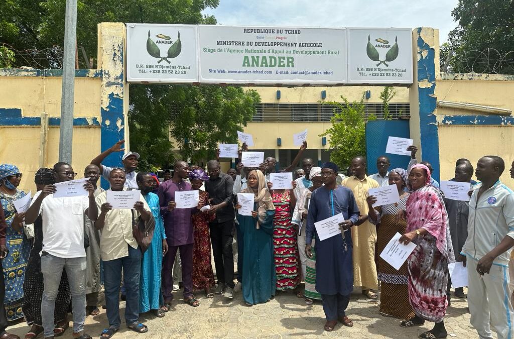 Revendications : les agents de l’Anader repartent en grève sèche et illimitée