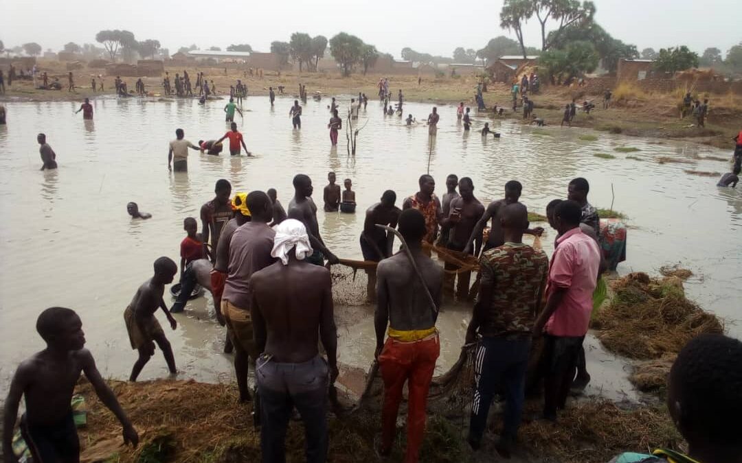 Tandjilé : pêche collective au village Dray-Mbassa