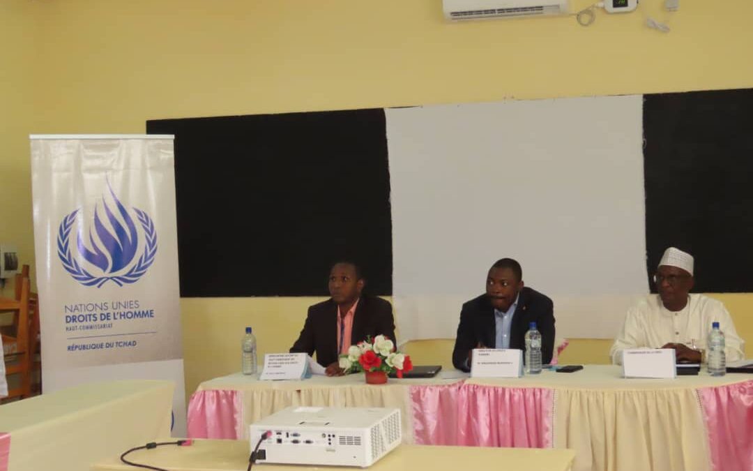 Tchad : le HCDH élabore le draft du plan stratégique triennal de mise en œuvre des recommandations du quatrième cycle de l’examen périodique universel