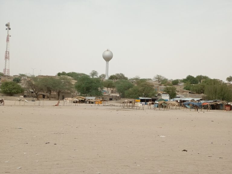 Tchad : à la découverte de la ville de Moussoro