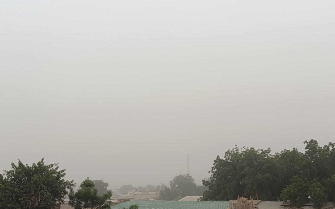 Atmosphère poussiéreuse : « la situation reviendra à la normale dans 48heures », Sakine Youssouf Batchomi, directeur général de l’Agence nationale de la météorologie