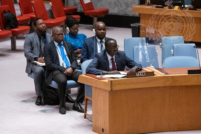 Le Conseil de sécurité de l’ONU renouvelle pour un an ses sanctions contre le Mali