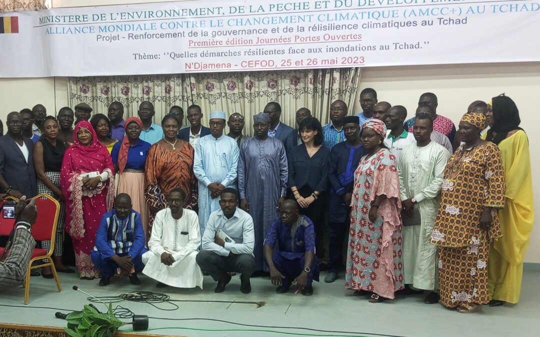 Changement climatique : le ministère de l’Environnement réfléchit sur les démarches résilientes face aux inondations au Tchad
