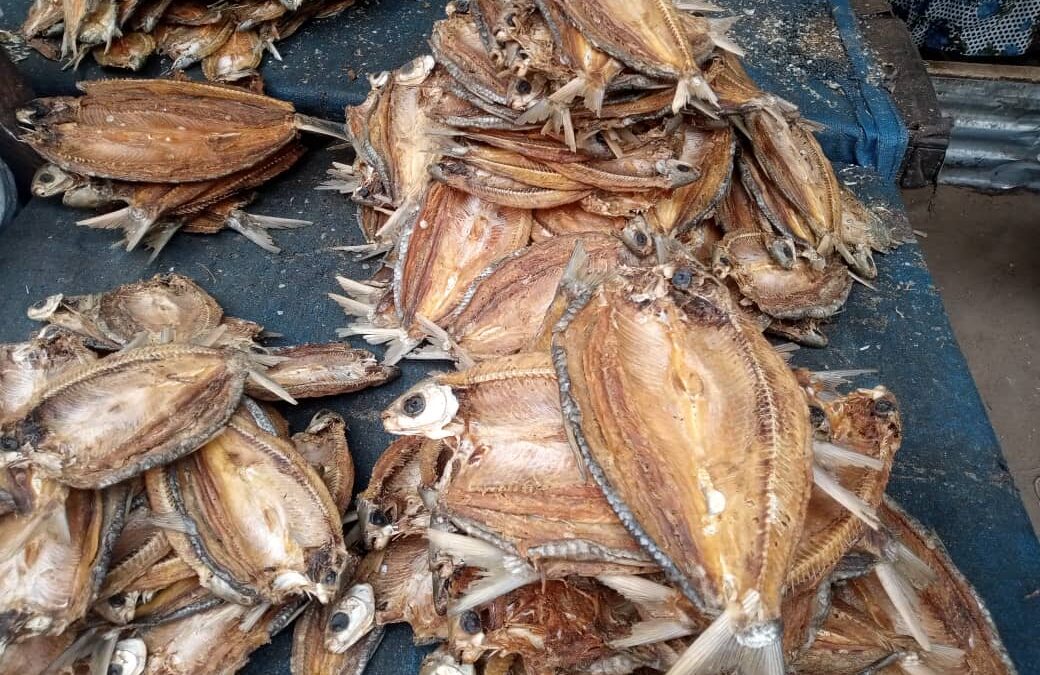 Société : à N’Djamena, le poisson fumé se fait rare sur les marchés
