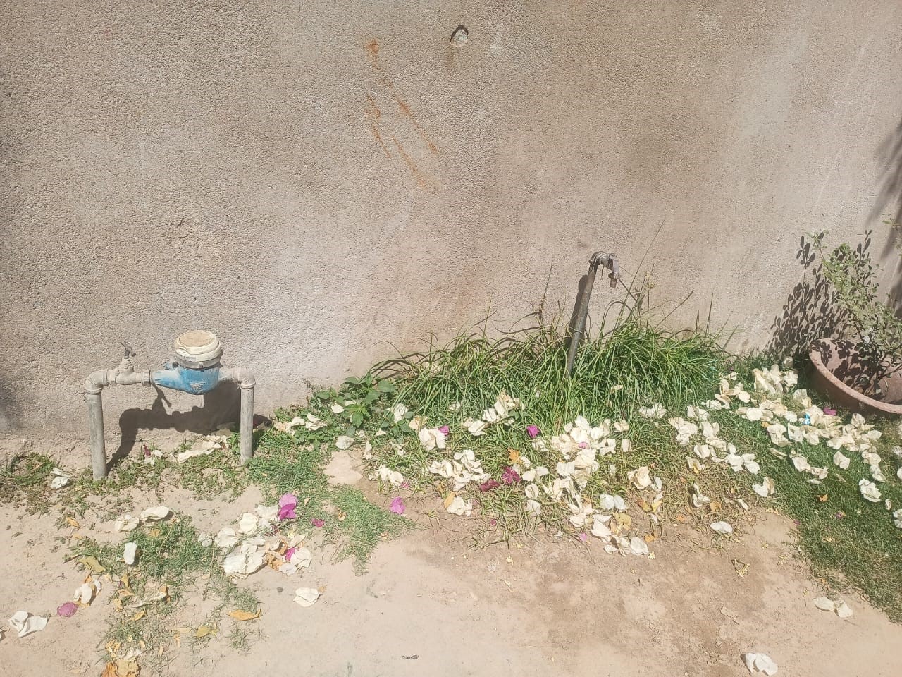 Journée mondiale de l’eau : l’association des femmes pour le dynamisme citoyen au Tchad s’interroge sur la gratuité de l’eau