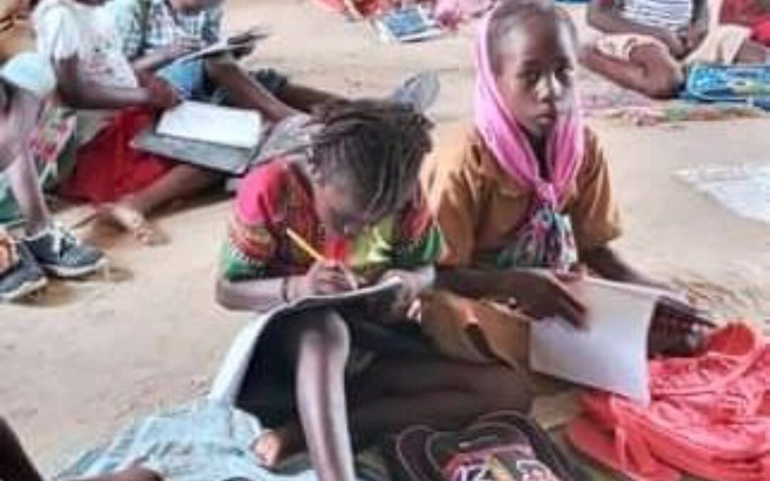 Education : des écoles primaires publiques débordées à N’Djamena