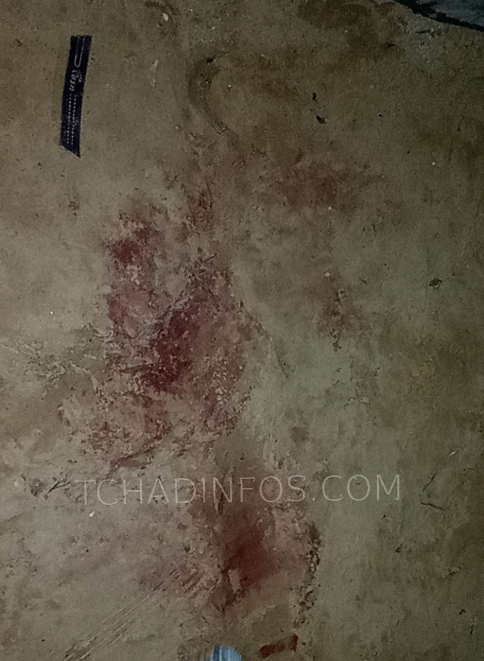 تشاد: الشرطة الوطنية تعتقل أحد منفذي هجوم منزل اللواء محمد حمودة بشير