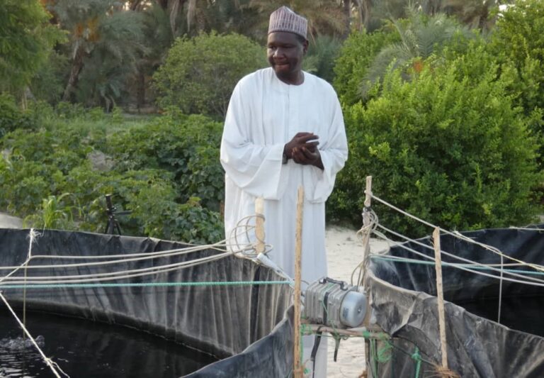 Tchad : Warou Abadji Alifa, “le pisciculteur du  désert”