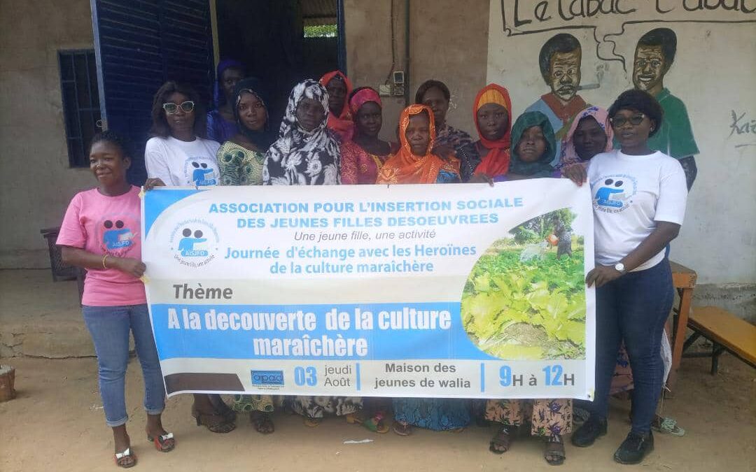 Tchad : “les héroïnes” du 9e arrondissement ont laissé parler leur cœur sur la culture maraîchère