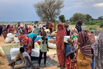 Tchad : 3,4 millions de personnes en situation critique d’insécurité alimentaire