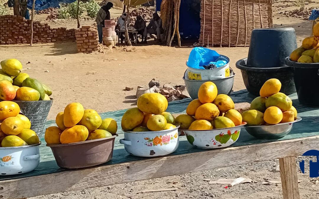 Guera : cette année, les mangues se vendent chères à Mongo