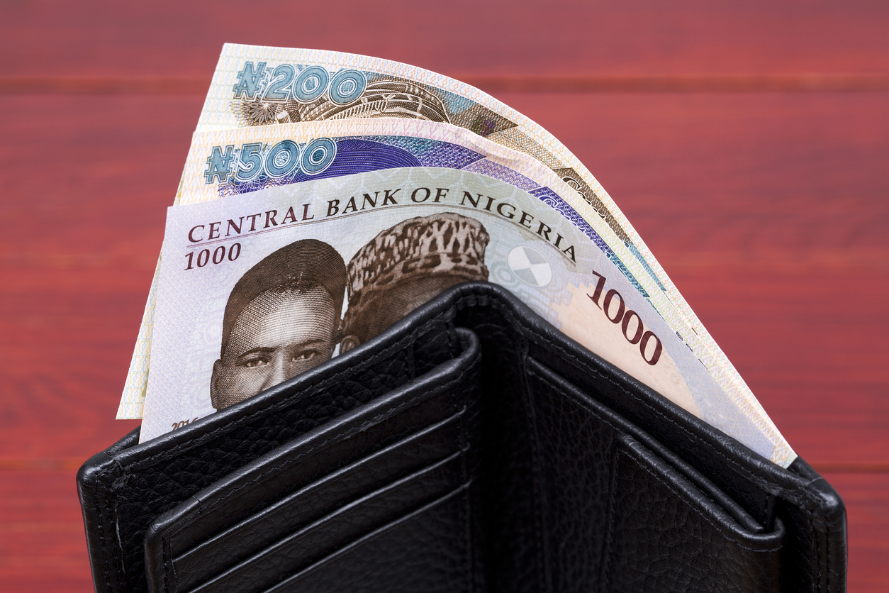 Le naira, la monnaie nigériane, s’impose dans la province du Lac