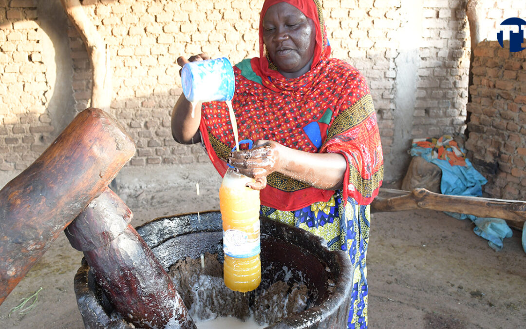 Guéra : la coopérative féminine “Abzona” de Mongo, symbole de l’huile pure de sésame  