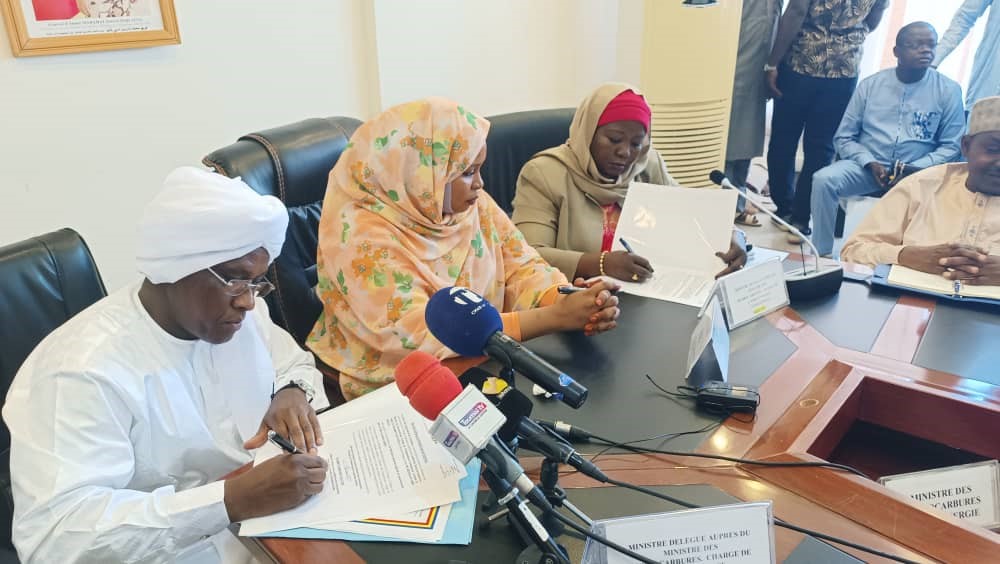 Politique : la ministre Ramatou Houtouin fait place à Abdoulaye Diar Mogody