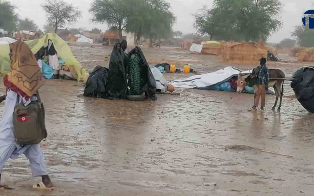 Société : la difficile situation des réfugiés soudanais dans le Sila