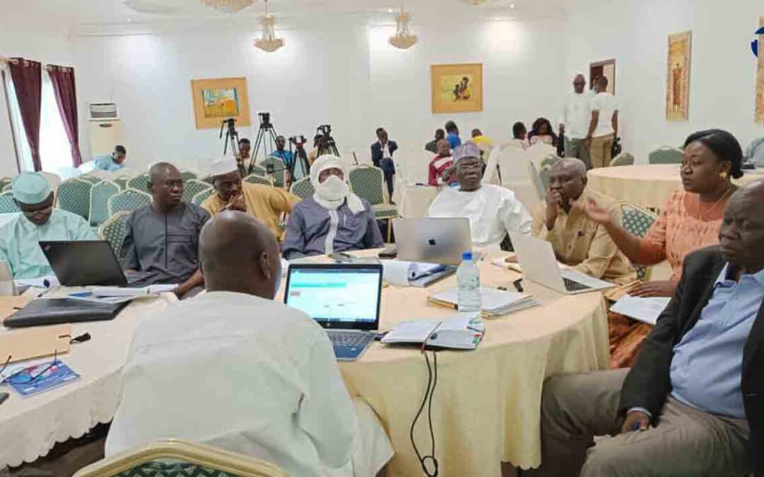 Tchad : des mécanismes de suivi et évaluation de la mise en œuvre des recommandations du DNIS sont identifiés